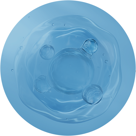 프로테오글리칸